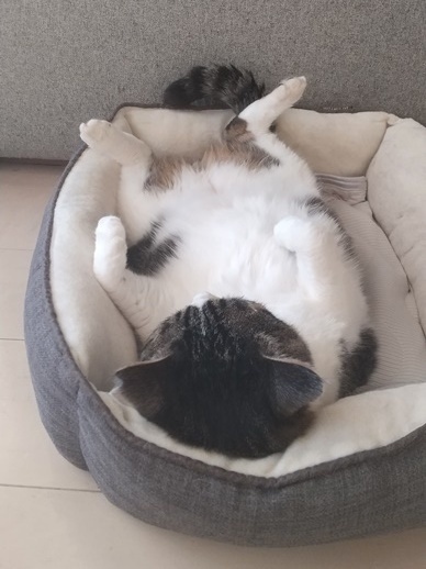 おやじまる.JPG