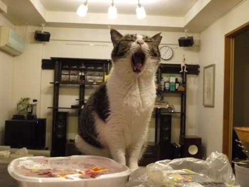 なんかくれ.JPG