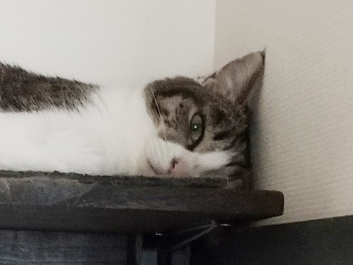 恐怖のまるちゅん.JPG