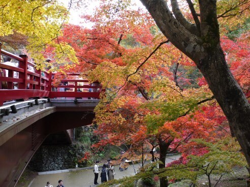 紅葉３.JPG