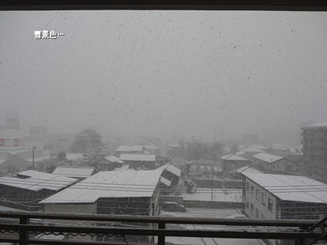 雪景色.jpg